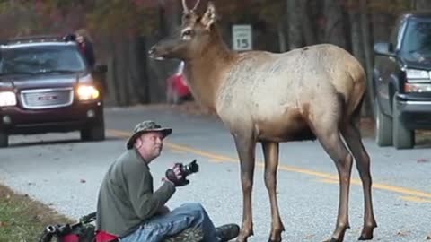 Como você teria reagido se estivesse no lugar deste fotógrafo?