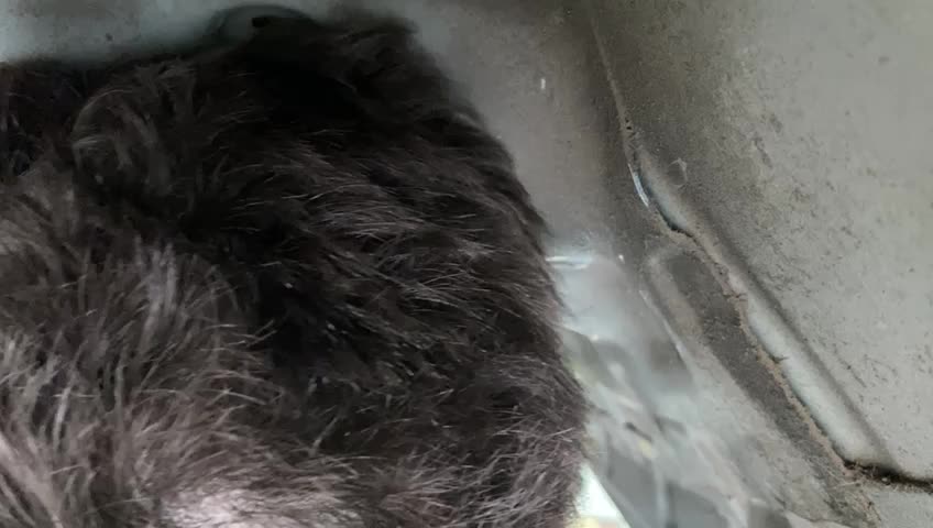 BMW 330D 2007 GEARBOX REMOVAL PART 4