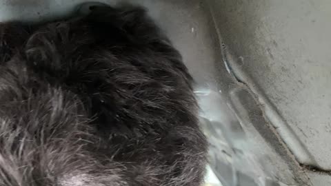 BMW 330D 2007 GEARBOX REMOVAL PART 4