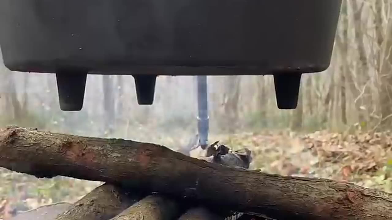 Osso buco burger. Orman Lezzetleri usulü efsane burger