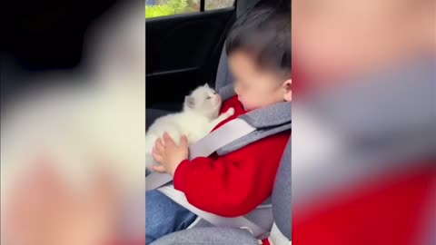 Un gatito protege al hijo de sus dueños mientras duerme en el auto