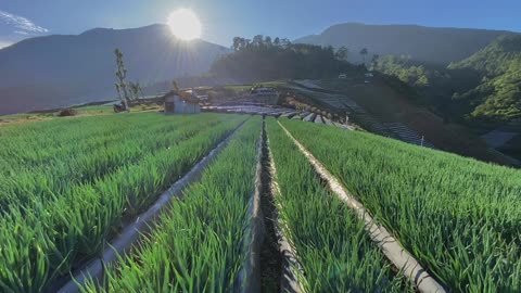 View of a Village in the Mountains of Indonesia