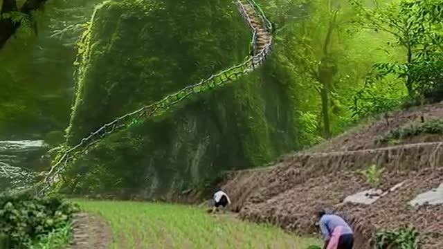 Best Natural in the world