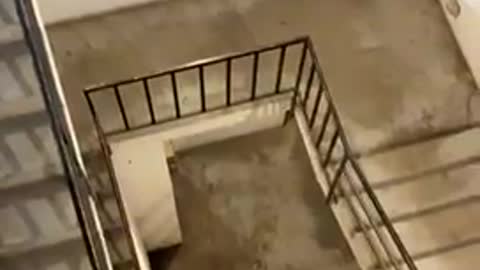 Water Balloon drops 7 floors