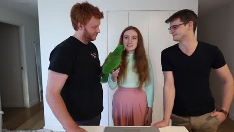PET PARROT Q&A! (ft. Archie the Eclectus Parrot)!