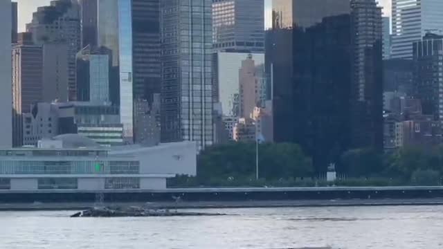New York at dusk