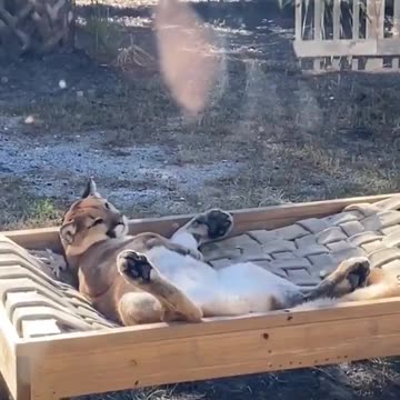 Just chilling having a break in the outdoors