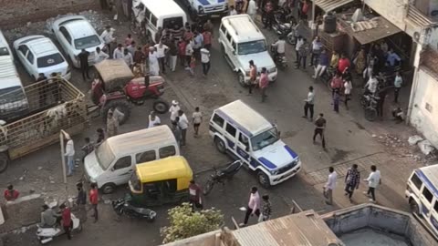 Cow catching from houses