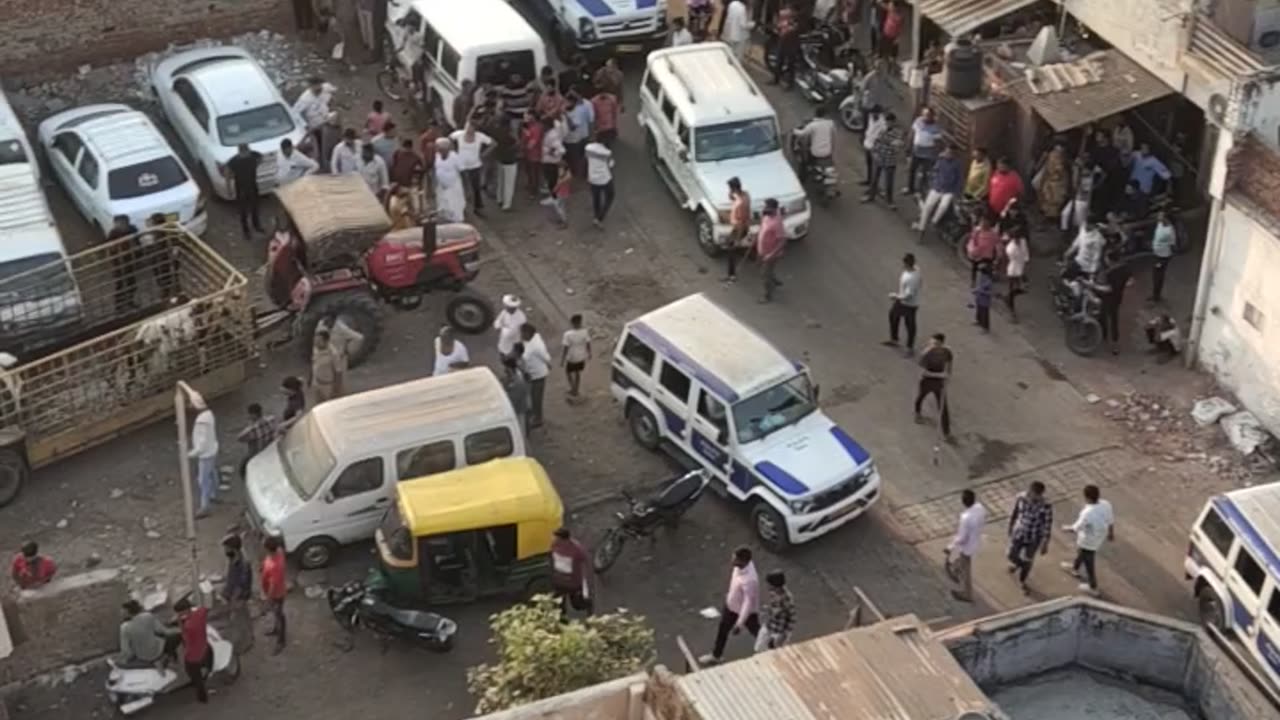 Cow catching from houses