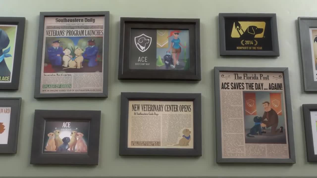 Pip | Animated film by Southeastern Guide Dogs