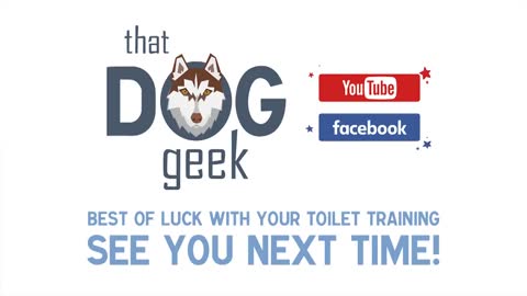 How to get your dogs toileting right