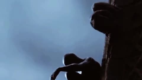 Spider man
