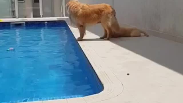 Mom, jump into the pool!