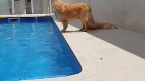 Mom, jump into the pool!