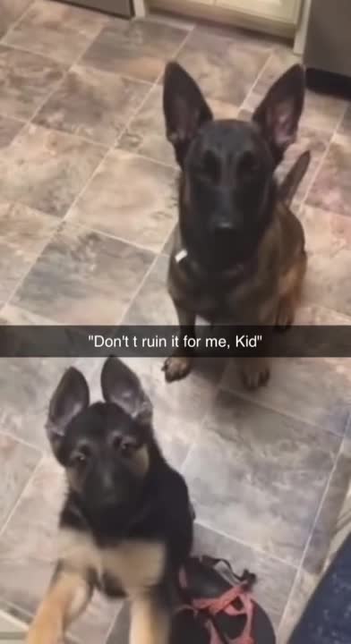 why won't you listen?