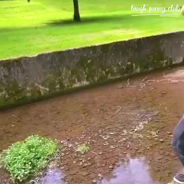 Funny video Fails