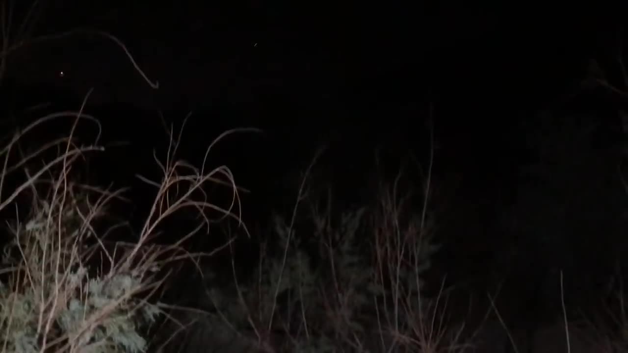 Horryfying creature caught in abandoned serwer in desert 👽