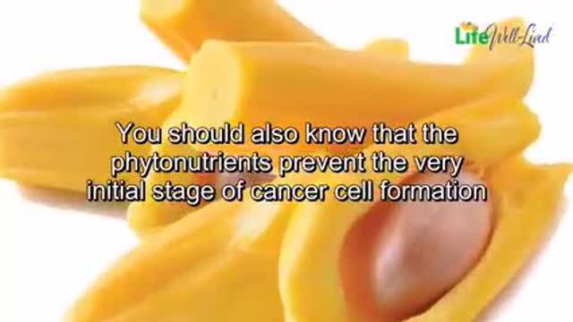 Healing power of jackfruit you need to know