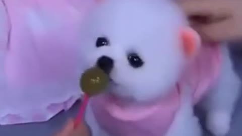 🤣 FUNNY DOGS 🐶 ULTIMATE REACTIONS AND BLOOPERS ШОРТЫ THE CUTEST SUPER PETS ANIMALS | TRY NOT TO