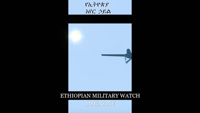 Ethiopian Current Military Strength