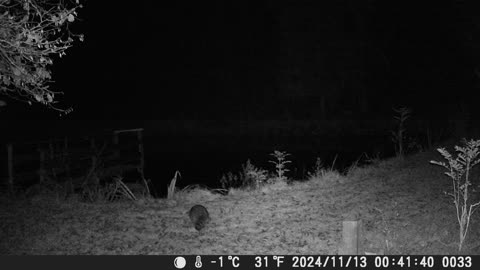 Teich131124