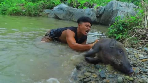 Jungle my life | Catch big pig in water | Roasted big pig for dinner-3