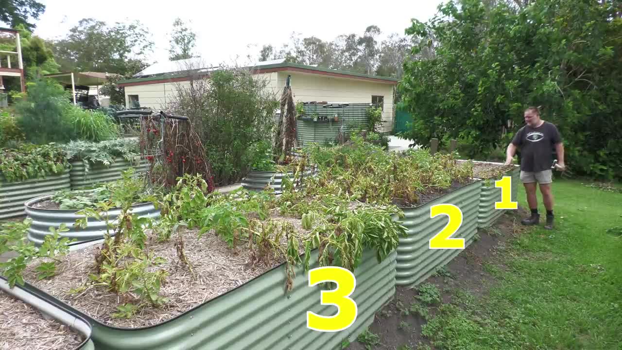 Different methods for growing potatoes