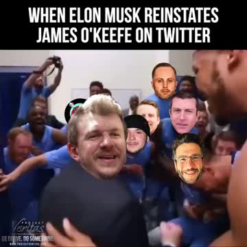 Politics - 2022 Humor When Twitter Elon Musk Reinstates Project Veritas James Okeefe