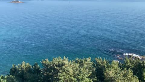 The morning blue sea