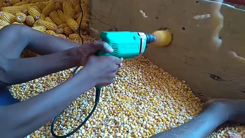 CORN SEEDS REMOVING IN EASIEST WAY