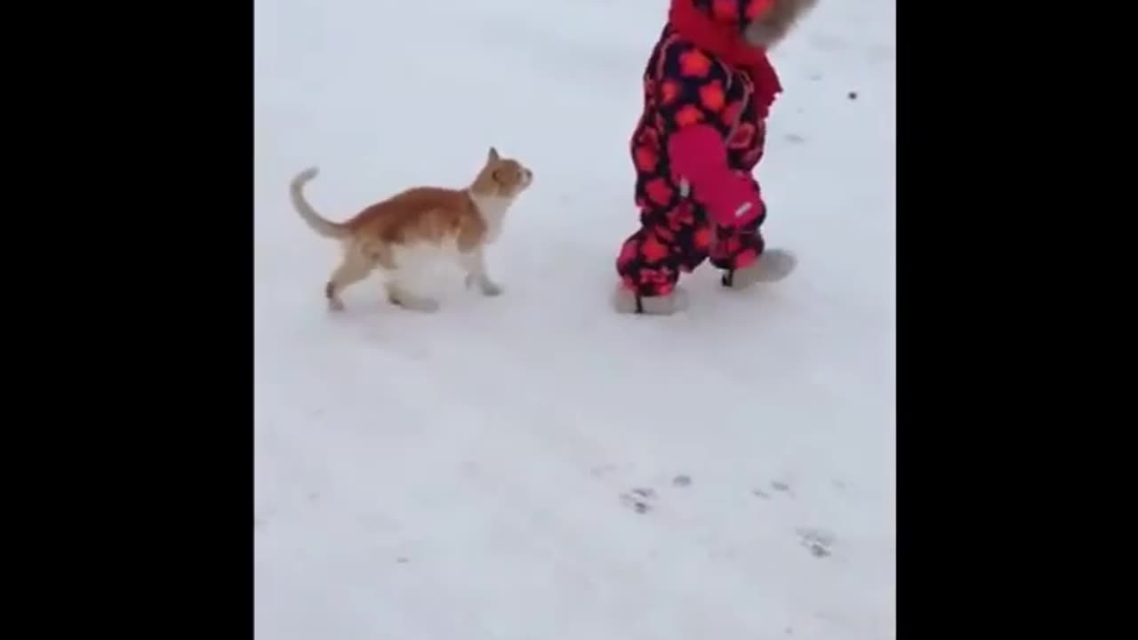 Snow Day Surprise: Cat Playfully Pulls Kid into Winter Wonderland!