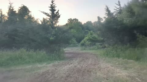 MAY 2024 Discing Continued Starting To Cut REBOOTAGRICULTURE 11