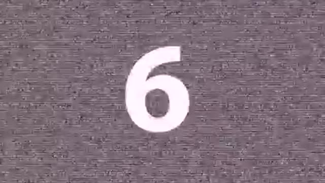 Helpful and distractive pets are present during the workout