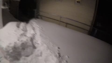 SNOW BLOWER