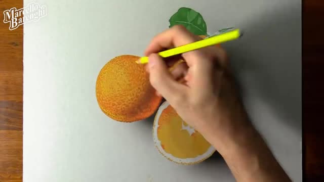 Describe The Folds On The Surface Of Oranges.