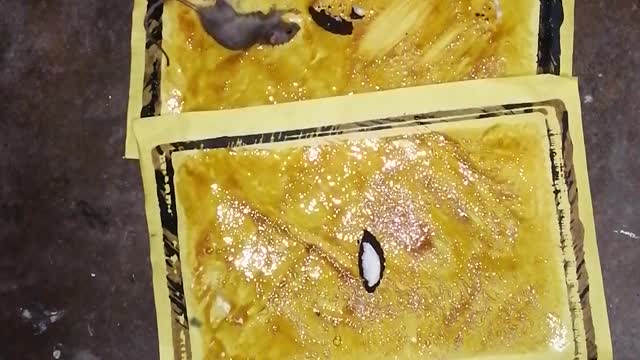 Mouse Glue trap