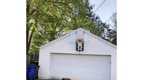 girl and basketball