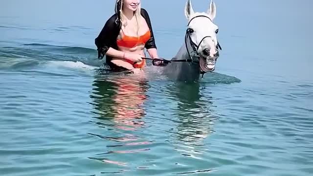 horses bathing in the sea