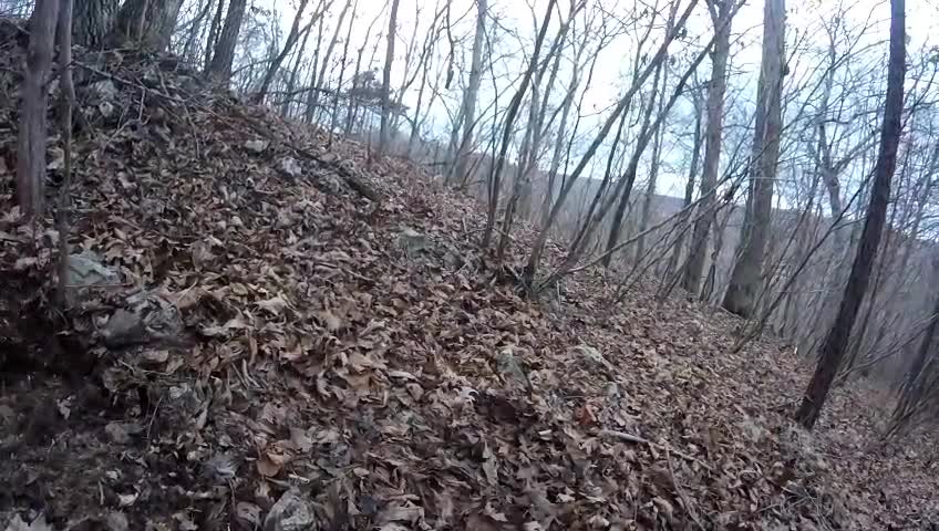 The horseshoe on the hill. Garrett AT Pro metal detecting in the ozarks