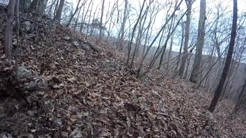 The horseshoe on the hill. Garrett AT Pro metal detecting in the ozarks