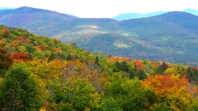 Mountain Foliage