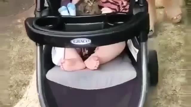 Kitten and baby are a very strong friendship