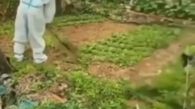 The Democrat warning ⚠️