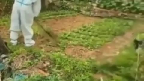 The Democrat warning ⚠️