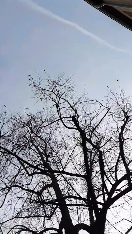 Himmel in Berlin am 30.12.2023 um 13:42 Uhr