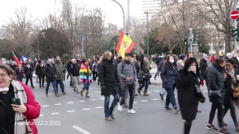 Demo für Frieden und Freiheit - Frankfurt 12.2.2022