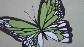 Beautiful green, white and black butterfly drawn on the wall of the flower shop [Nature & Animals]