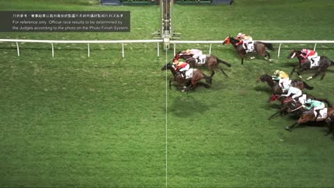 Horse_Race_2022052508_Chinese