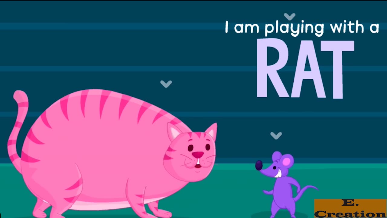Rat