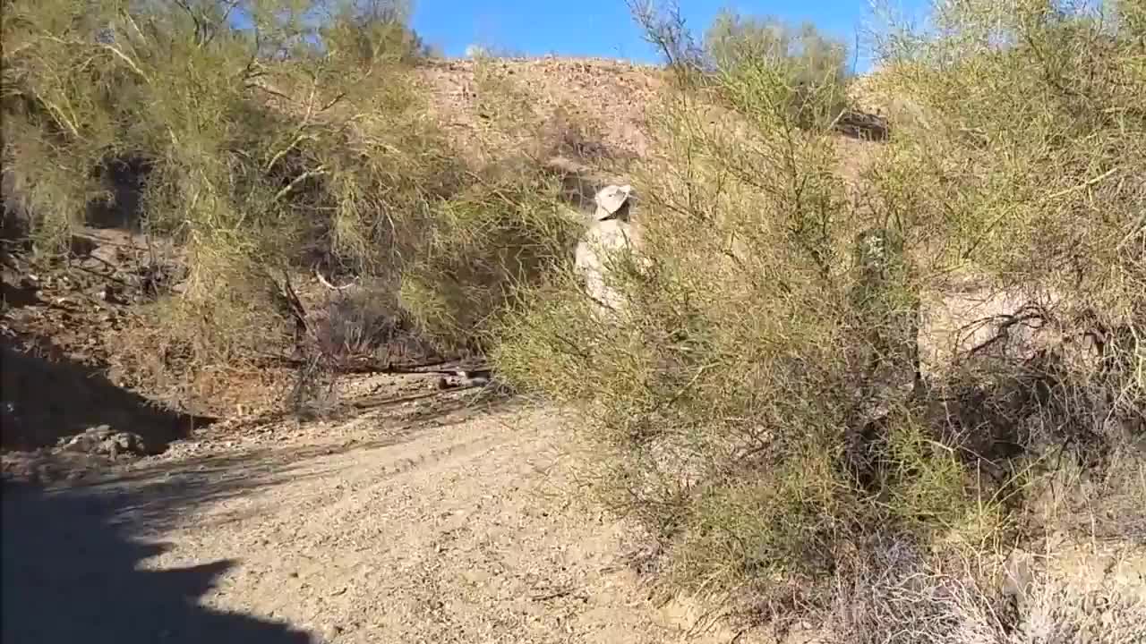 Desert Pirate Camp out